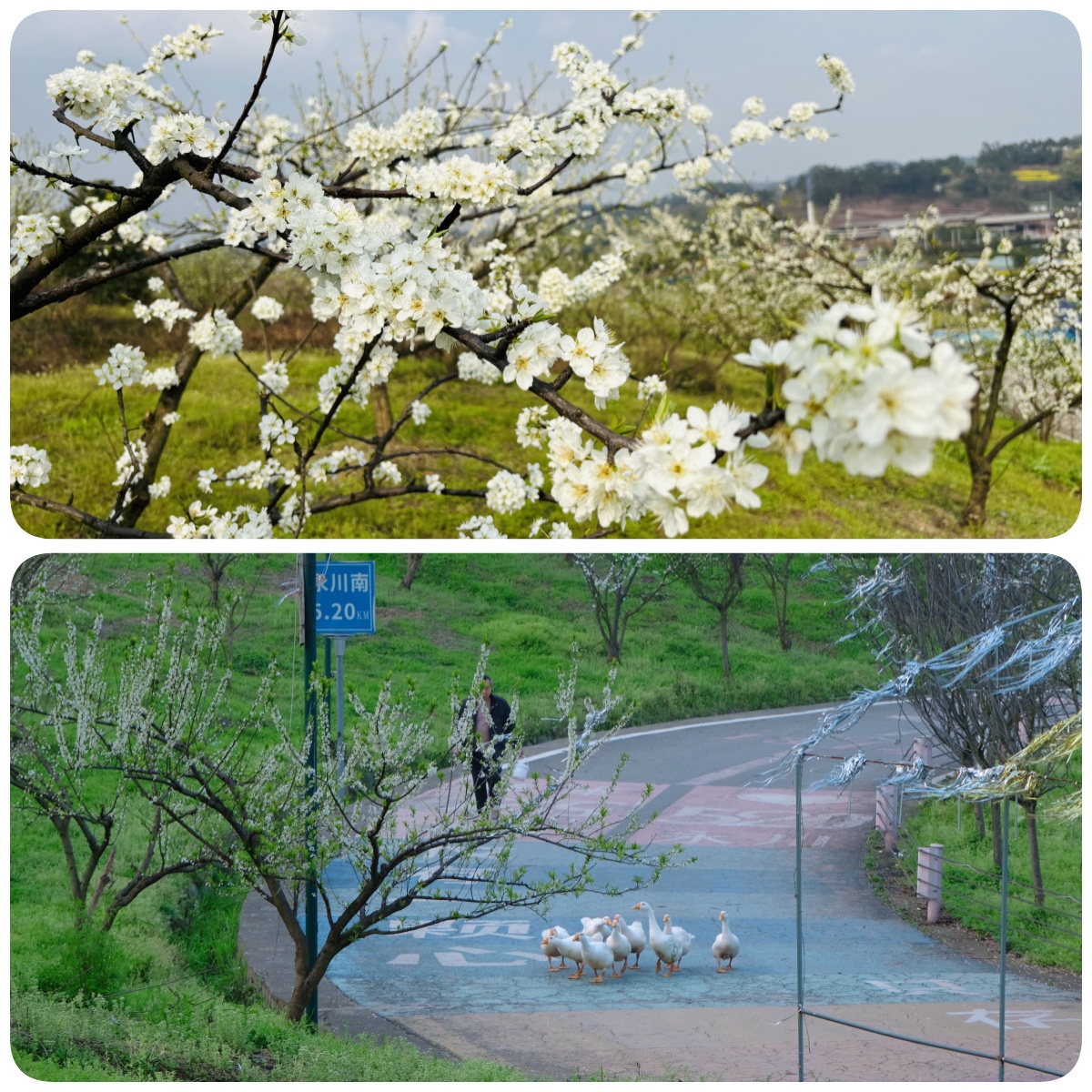 RUmW_1741835873851025989.jpg RUmW_1741835873851025989.jpg