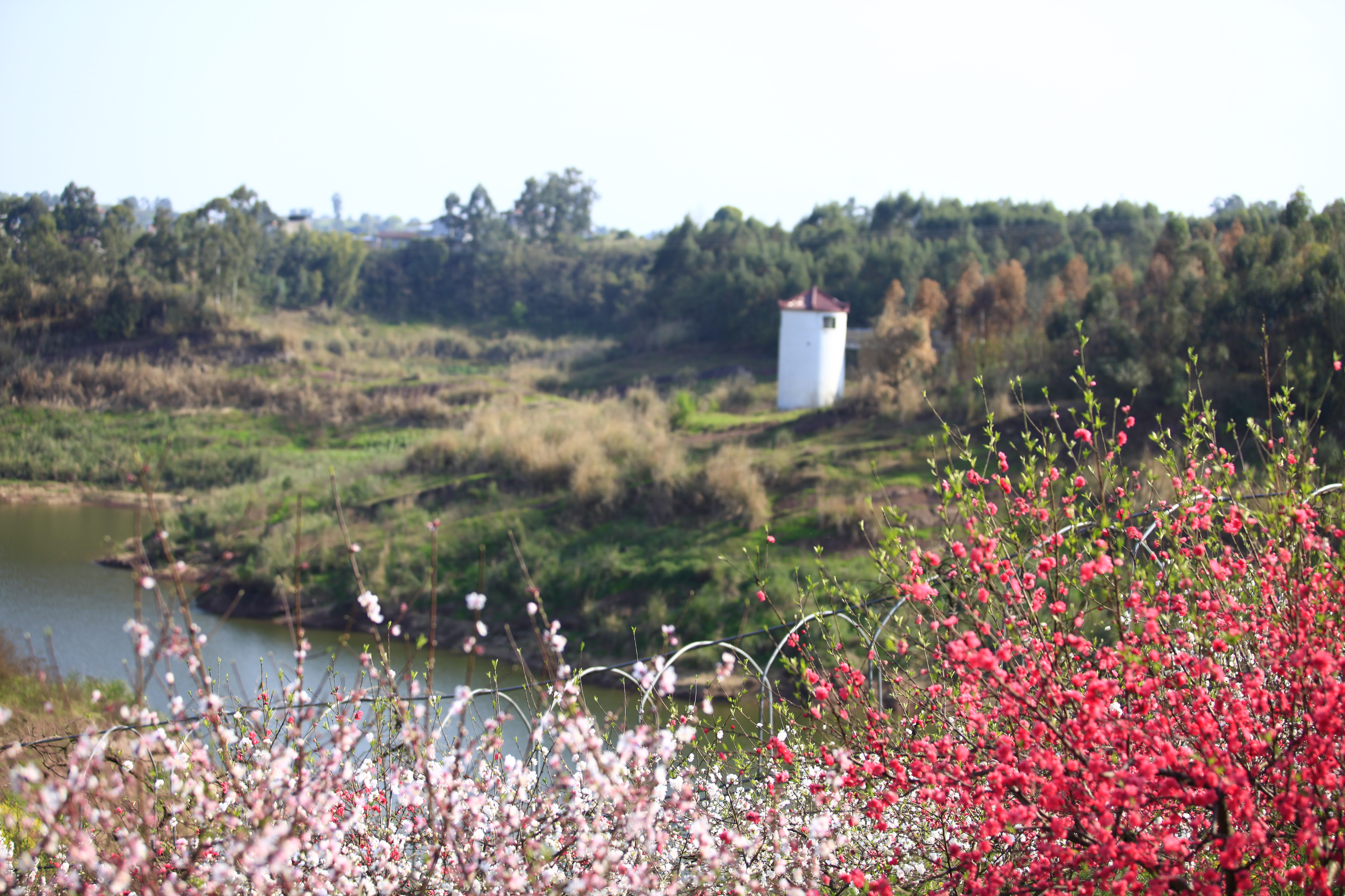 DqVr_1773367728100016489.jpg DqVr_1773367728100016489.jpg