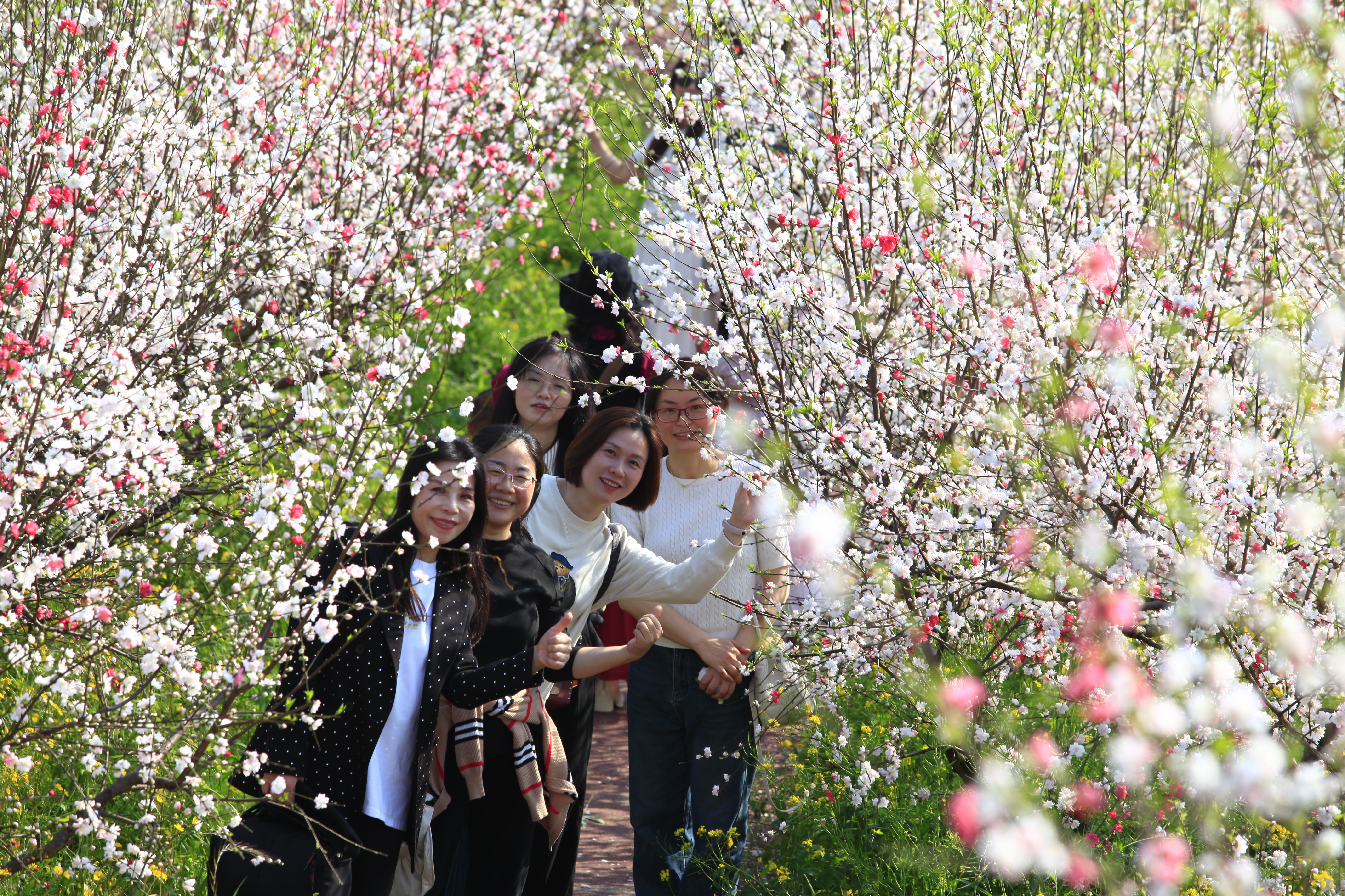 VmKj_1773367950196035020.jpg VmKj_1773367950196035020.jpg