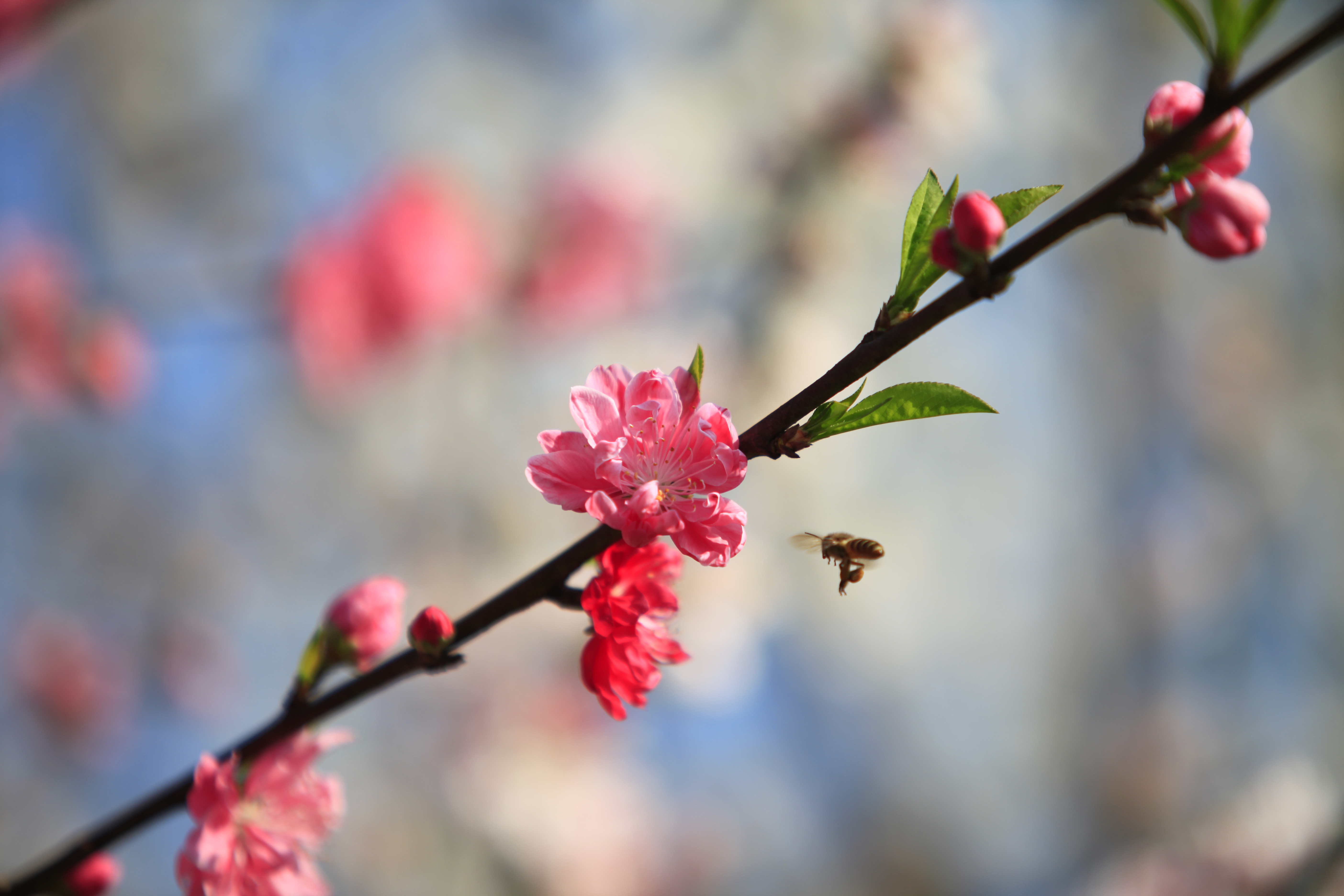 eUAv_1773367696885073451.jpg eUAv_1773367696885073451.jpg